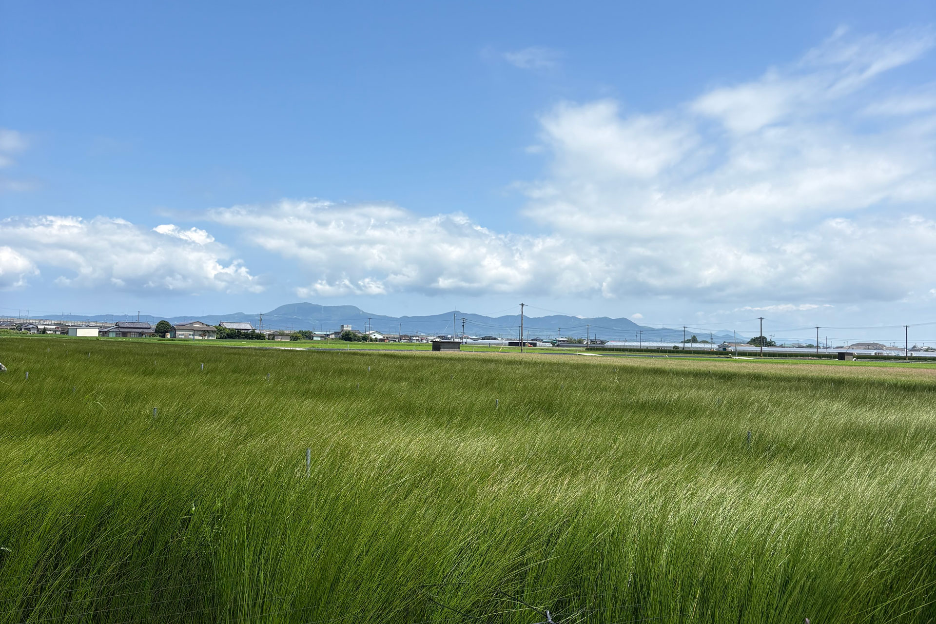 畳の張替イメージ